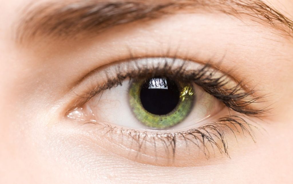 Comment appelleton les yeux qui changent de couleur ? Sciences en — free download